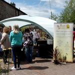 Bee-awareness-day-at Larche-cottage-nurseries